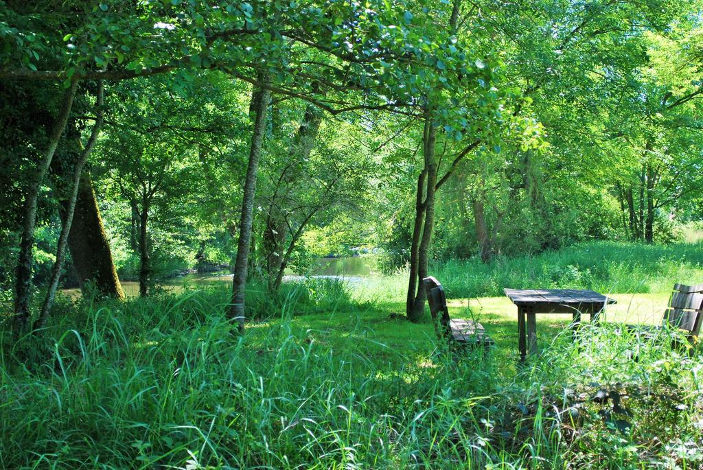 Domaine Les Gandins Bed and Breakfast Saint-Germain-de-Salles Buitenkant foto